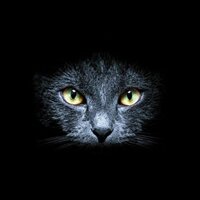 Маноли Дарья