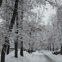 Лариса Нургалиева