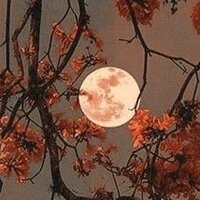 Екатерина Федорова