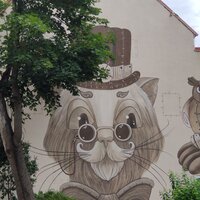 _Мы из Калининграда_