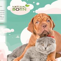 Корм Корейский