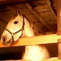 Юлия Лихачева