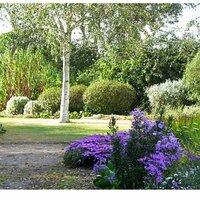 Валентина Куликова