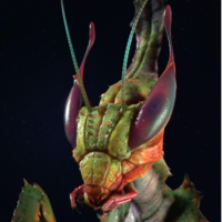 Роман Миров