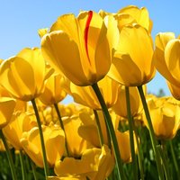 Екатерина Ш.