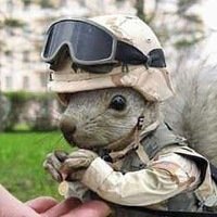 Алексей Егошин