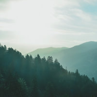 Данил Бойко