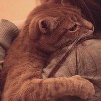 Александра Гайфутдинова