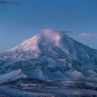 Светлана Г.