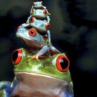 Дарья Михайлова