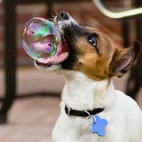 Олеся Егорова