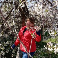 Алёна Юшина