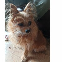 Екатерина Васильченко