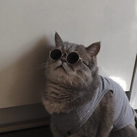 Азалия Т.