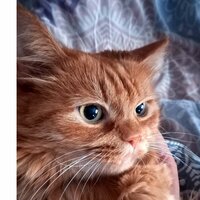 алена глазкова