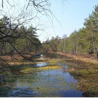 Григорий Ч.