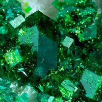 Знамя Голосов