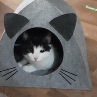 Гаврилова Катерина