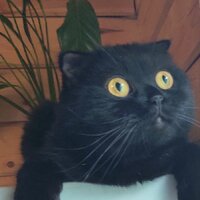 Надежда Ефимова