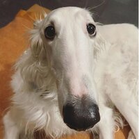 Маргарита Ивкина