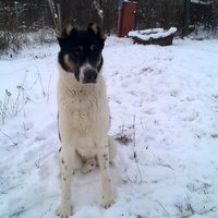 Павел Кувшинов