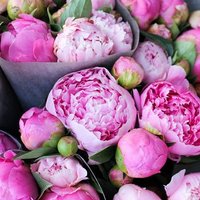 Мария Ульянова