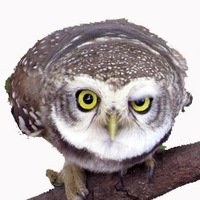 Сид Сидоров