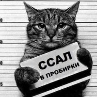 Александр С.