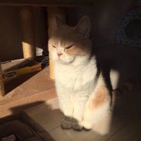 Даша Килисиди