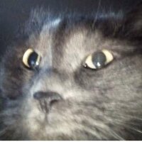 Дарья Панарина