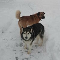 ТаняДима Кузнецовы