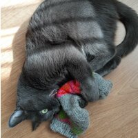 Гуторова Наталья