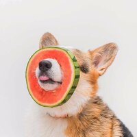 Виктория В.