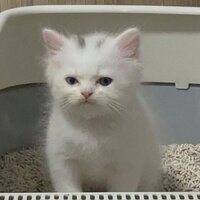 Влад Унтеров