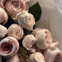 Тамара Филатова