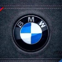 Светлана З.