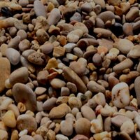 Александр Полетуха