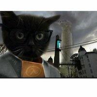 Чмоня Фриман