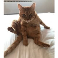 Вика Суркова