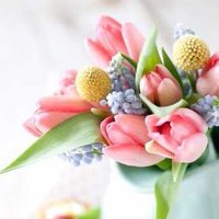 Анастасия В.