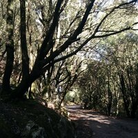 Олеся Жакова