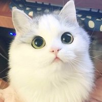 Оксана Полёва