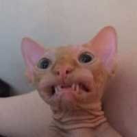 Евгений Яхонтов