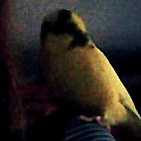 Анастасия Остроухова