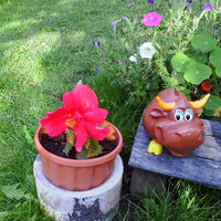 Ярослава Тришина