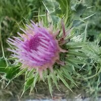 Александр Т.