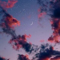 Аня Николаева