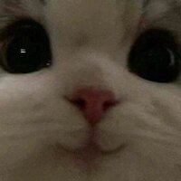 Виктория Агеева