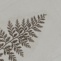 Варвара Николаева