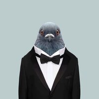 Антон Загайнов